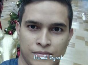 Harold_bigcock