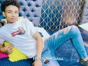 Harrymontanaa