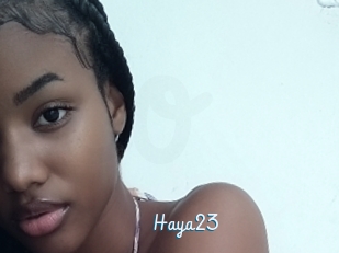 Haya23