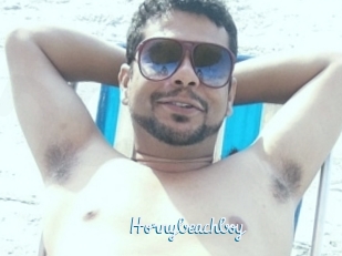 Hornybeachboy