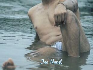 Joe_Novel
