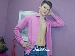 Jacobbud