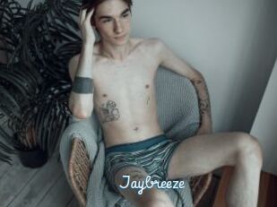 Jaybreeze
