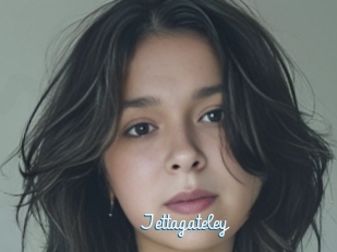 Jettagateley