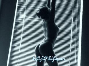 KittyWildflower