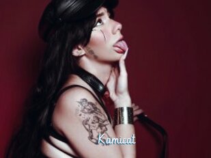Kamicat