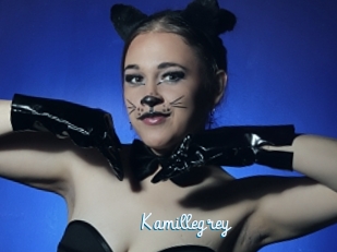 Kamillegrey