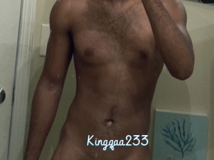 Kingqaa233