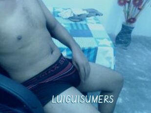 LUIGUISUMERS