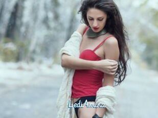 LediAmina
