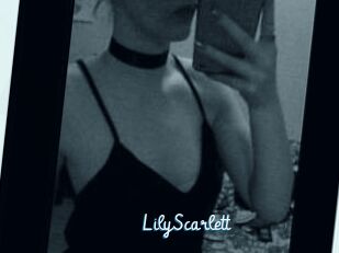Lily_Scarlett