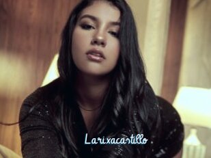 Larixacastillo