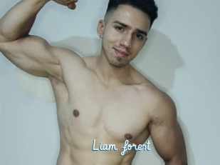 Liam_forest