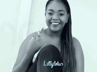 Lillylotus