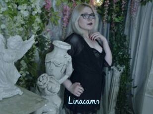 Linacams