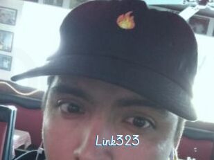 Link323