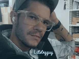 Litlebigguy