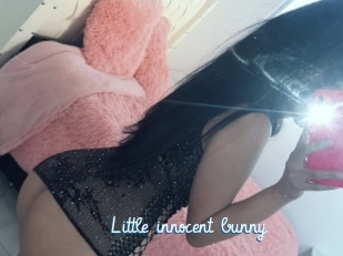 Little_innocent_bunny