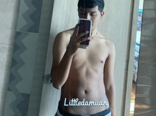 Littledamiian