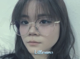 Littleseems