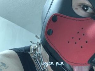 Logan_pup