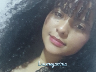 Lucerogaviria