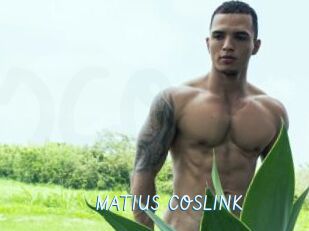 MATIUS_COSLINK