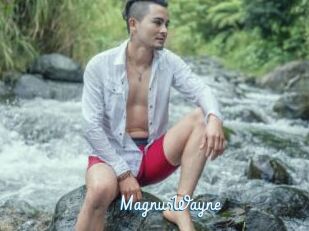 MagnusWayne