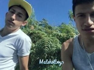 Malehotboys