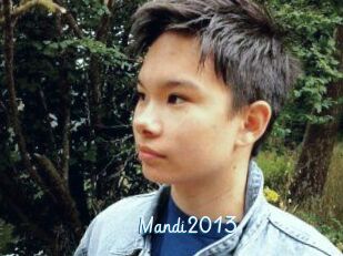 Mandi2013