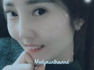 Meetyouinthewind