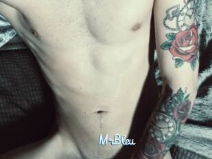 MrBleu