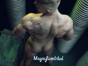 Magnificentstud