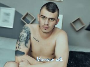Massimo_colt