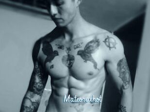 Mateosexhot