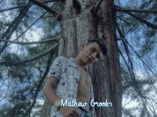 Mathew_brooks