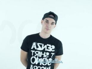 Mattestallion