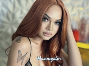 Maxinegales