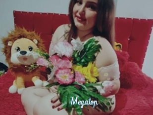 Megatop