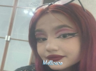 Mellisaro