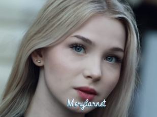 Merylarnet