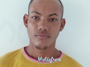 Mieldefresa