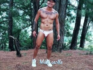 Mike_castle