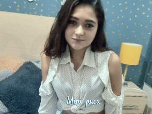 Mini_puca