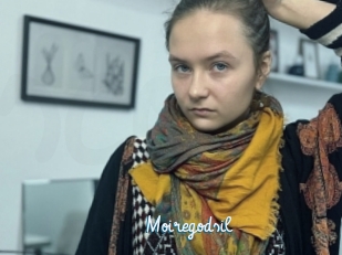 Moiregodsil