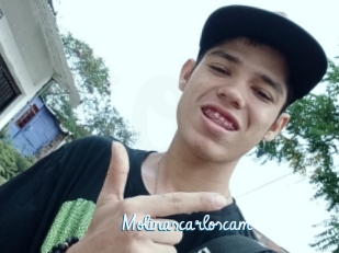 Molinascarloscam