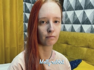 Mollyrabbit