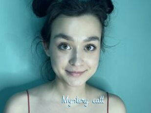 Mystery_catt