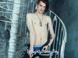NaughtyBunnyBoy