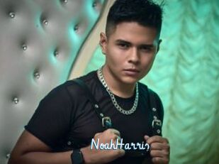 NoahHarris